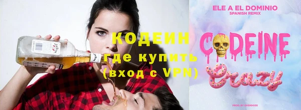 шишки Аркадак