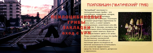 каннабис Арсеньев
