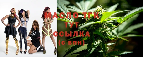 шишки Аркадак