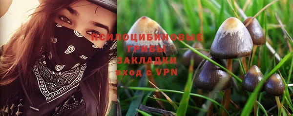 шишки Аркадак