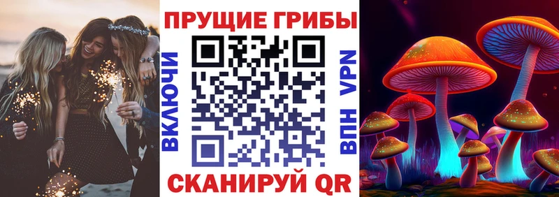 Псилоцибиновые грибы прущие грибы  Купить закладки  Элиста 